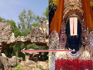 శ్రీవారి గడ్డం కింద పచ్చకర్పూరం ఎందుకు పెడతారో మీకు తెలుసా ?