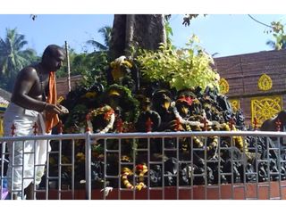 ఈ గ్రామంలో పాము కరిచినా ప్రాణం పోదు? సైన్స్ కి అంతుచిక్కని రహస్యం 