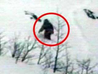 మీలో ఎంతమందికి హిమాలయాలలోని మిస్టరీ మనిషి గురించి తెలుసు ?