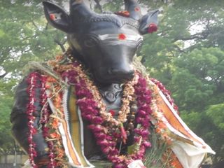 నవ నందుల క్షేత్రాలు ఎక్కడ ఉన్నాయో మీకు తెలుసా ?