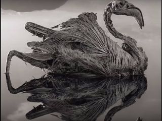 ఆ నీటిని తాకితే శిలగా మారిపోతారు తెలుసా!