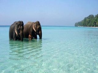 జంటలకు హనీమూన్ ఆనందాలను మరింత పెంచే అండమాన్ నికోబార్ ఐలాండ్స్