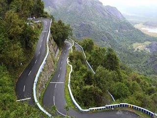 తిరుమల శ్రీవేంకటేశ్వర స్వామి వారి ఆలయ గర్భగుడి లోని ఒక దైవీకమైన పిల్లి గురించి మీకు తెలుసా!