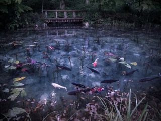 ఈ కోనేటిలో మునిగితే నిత్య యవ్వనం చావు అనేదే ఉండదు !