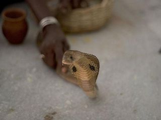 ఆలయాల రహస్యం ... అంతా గప్చుప్ !