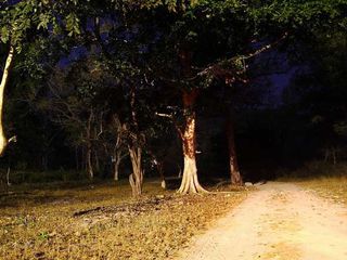 దెయ్యాలు ఎక్కువగా ఉన్న టాప్-10 భారతీయ రోడ్లు