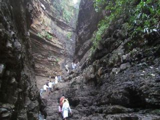 నల్లమల అడవులలో ఈ ప్రదేశాలు మీకు తెలుసా ?