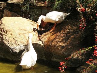 బెంగళూరు లో ఇటువంటి ప్రదేశాన్ని చూసారా ?