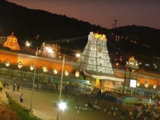 దేవుడినే పరుగులెత్తించిన పందులు... బయటపడ్డ రహస్యం...