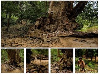 చిన్నపాటి సెలవులు గడపాలంటే ..!