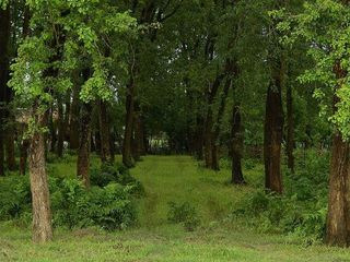 హనీమూన్ జంటలకు స్వర్గధామం