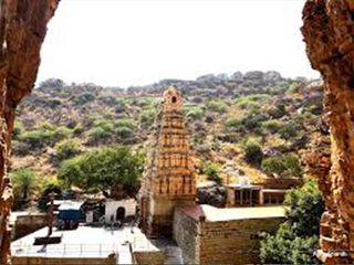 ఈ అడవిలో కాకులు కనపడవు...కారణం ఇదే