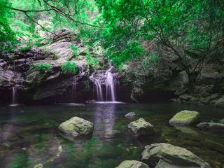 మేజిక్ కొలనుల అంతు చూడండి.... అరుదైన మత్స్యావతార మూర్తిని దర్శించండి