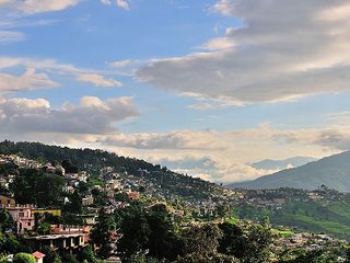 మనసు అల్లకల్లోలాన్ని తగ్గించే ‘ఆల్మోరా’