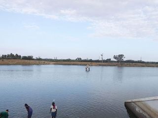 ఈ పుష్కరిణిలో స్నానం చేస్తే..ఇక్కడే  శ్రీకృష్ణుడు