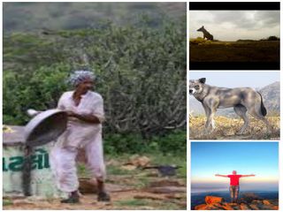 నక్కలు సాధు జంతువులై ప్రసాదం తినే చోటు...సందర్శనతో