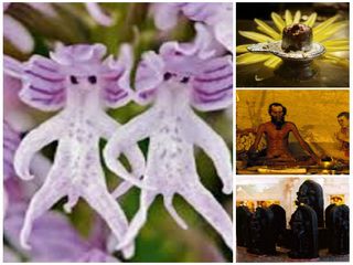 ఈ క్షేత్రంలో పువ్వు కింద పడితే ‘కడుపున కాయ కాసినట్లే’