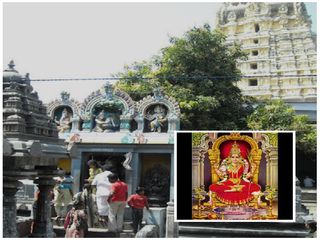 పార్వతీ, పరమేశ్వరుల పెళ్లికి సాక్షమైన మామిడి చెట్టును చూశారా?