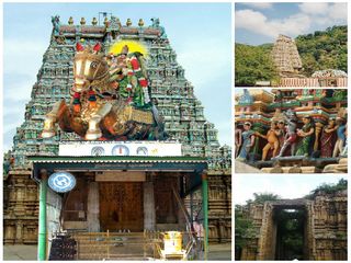 ఏడాదికొక్కసారే ఆలయాన్ని తెరుస్తారు, వెంటనే అక్కడి అడవి ఏమవుతుందో తెలుసా