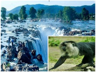  జులై నెలలో కర్నాటక అందాలన్నీ ఇక్కడే