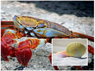 భారత దేశ చిట్టచివర ఉన్న ఈ నగరం పర్యాటక అందాలను చూశారా?