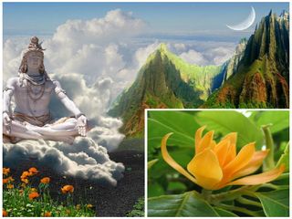 ఇక్కడ ప్రసాదం ఆ నీటిలో వ్యతిరేక దిశలో ప్రయాణం చేస్తుంది, చర్మవ్యాధులకు