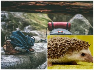 జులై, అగస్టు ల్లో మౌంట్ అబుకు వెలుతుంటే ఈ ప్రదేశాలను చూడటం మరిచిపోకండి