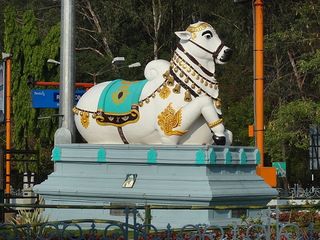 శ్రావణ మాసంలో తిరుపతిలో శ్రీవారితో పాటు ఇక్కడి ఈశ్వరుడినీ సందర్శిస్తే...