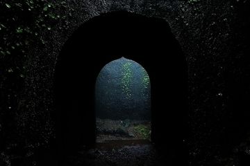 శ్రావణ మాసంలోనే ఈ ఖిల్లా అందమైన ద్వారాలు  పర్యాటకుల కోసం తెరుచుకొంటాయి. 