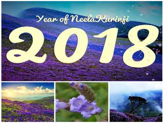 12 ఏళ్ల తర్వాత పూచిన పువ్వుంట పలు రోగాలను నయం చేసేనంట. అక్టోబర్ వరకు మాత్రమే ఫ్రీ