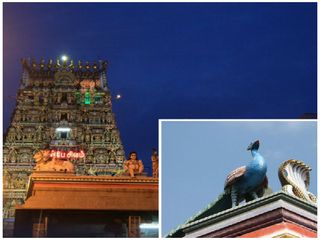  పార్వతీ దేవి నెమలి రూపంలో శివుడి గురించి తపస్సు చేసిన చోటు సందర్శిస్తే అన్నింటా విజయమే