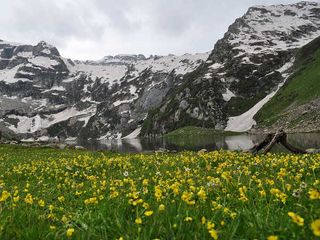 భూమిపై స్వర్గం అనేది వుంటే అది ఇక్కడే..పుల్వామా
