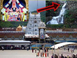 ఆకాశగంగతీర్థంలో పుణ్యస్నానం చేసి, శ్రీవేంకటేశ్వరుడిని దర్శిస్తే, పాపప్రక్షాళ, సర్వశుభాలు