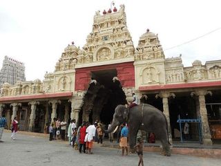 తిరుచెందూర్ విభూతి మహిమ: కుజదోశంతో పాటు ఇతర గ్రహదోషాలు,దీర్ఘకాలిక రోగాలు మాయం