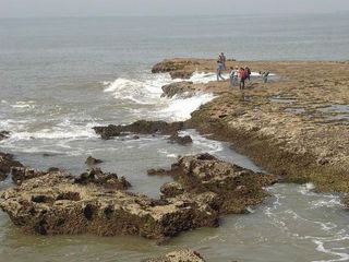  వేసవిలో మాంచి పిక్నిక్ స్పాట్ నాగోవా..