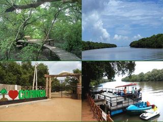 చెక్కల వంతెనెతో, అడవి అందాలతో ఆకట్టుకొనే కోరింగ మన్యం..