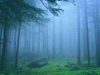 స్నో ఫాల్ ఎంజాయ్ చేయాలంటే ఆంధ్రా కాశ్మీర్ గా పిలుచుకునే ‘లంబసింగి’కి వెళ్ళాల్సిందే..!