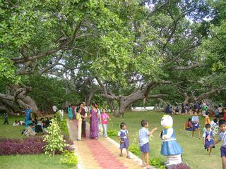 ప‌చ్చ‌ని ప‌ర్యాట‌క గొడుగు.. పిల్ల‌ల‌మ‌ర్రి