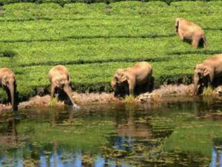  శృంగార‌భ‌రిత‌మైన క్ష‌ణాలను చేరువచేసే మేఘమలై టూర్‌!
