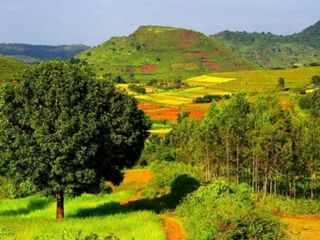 అర‌కులోని ఆకుప‌చ్చ‌ని లోకంలో.. ఆనందాల ప‌ర‌వ‌ళ్లు!