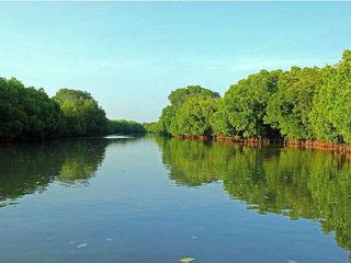 సంద‌ర్శ‌నీయ ప్ర‌దేశాలు.. పిచ్చవరంలోని మడ అడవులు 