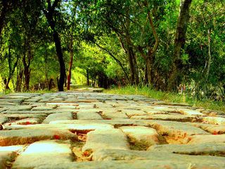 వ‌ల‌స‌ప‌క్షుల స్వ‌ర్గ‌ధామం.. సుల్తాన్‌పూర్ నేషనల్ పార్క్