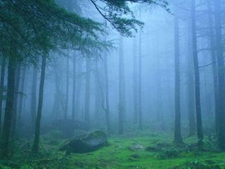 మంచుకురిసే వేళ‌.. ఇది మ‌న్యం మెరిసే వేళ‌..