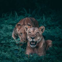 బిన్సార్ శీతాకాల‌పు అందాల‌ను చూసొద్దాం!