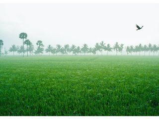 ప‌చ్చ‌ని ప‌ర్యాట‌క రంగ‌వ‌ల్లి.. పాల‌వెల్లి!   