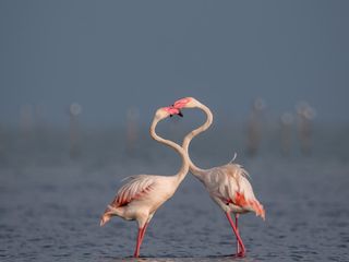 సంద‌ర్శ‌నీయ ప్ర‌దేశాలు.. ఆంధ్ర‌ప్ర‌దేశ్‌లోని ఈ స‌ర‌స్సులు!  