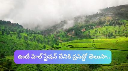 ఊటీ హిల్ స్టేషన్ దేనికి ప్ర‌సిద్ధో తెలుసా..