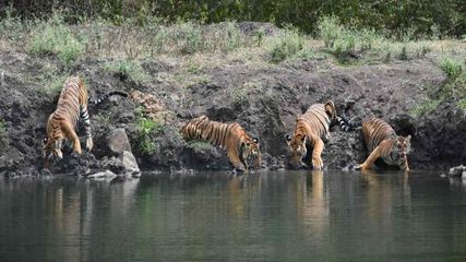 ప్ర‌శాంత‌త‌కు మారుపేరు ఈ జాతీయ ఉద్యాన‌వ‌నాలు..