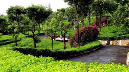 హ‌నీమూన్‌కు ఇండియాలోని అనువైన ప్ర‌దేశాలు ఇవే.