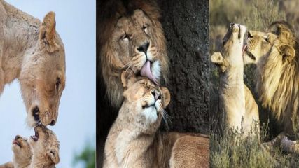 సంస్కృతి సంప్ర‌దాయాల‌కు నిల‌యం గుజ‌రాత్‌లోని ఈ ప్రాంతాలు..